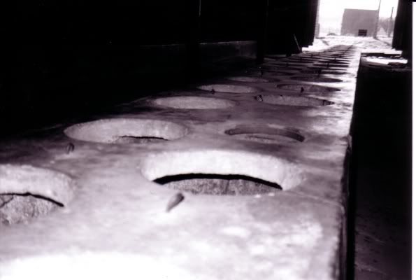 IMAGE: http://img.photobucket.com/albums/v240/mckc/auschwitztoilet.jpg