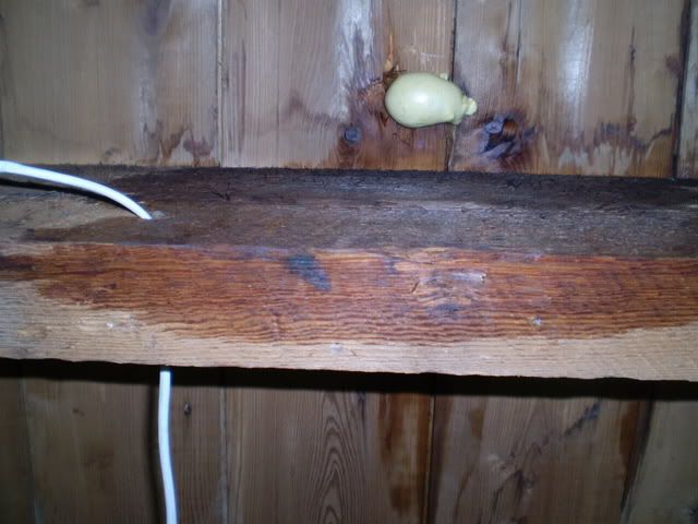 Water Spots On Floor Joists In Basement Help