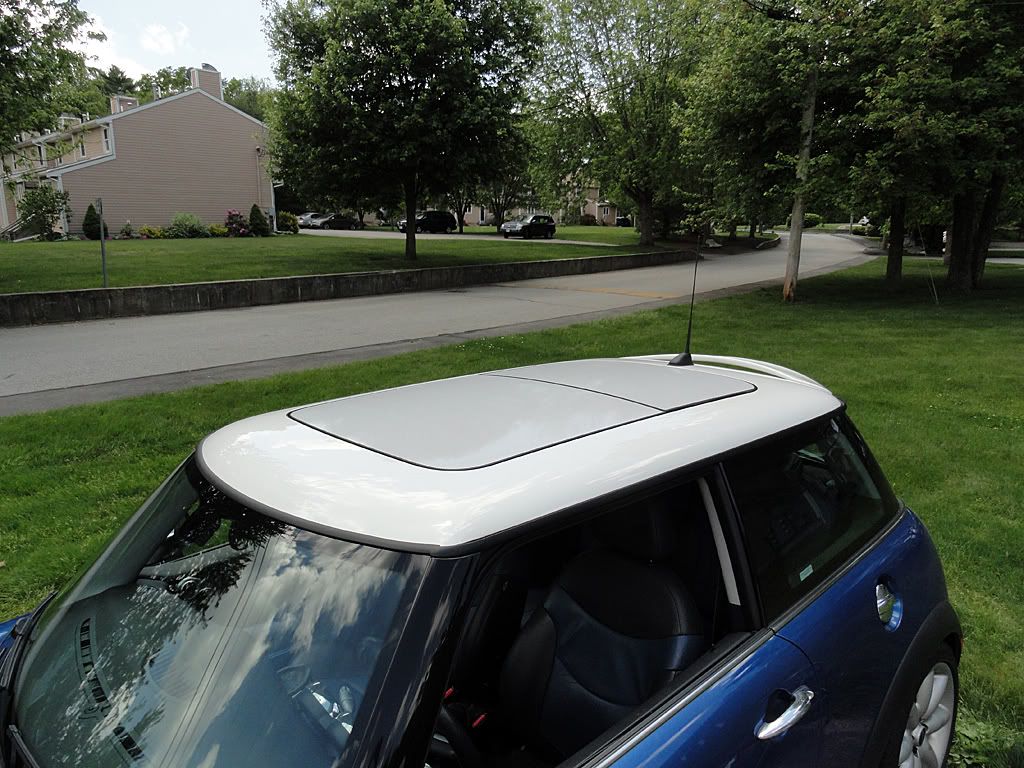 Interior/Exterior Racing stripes on spoiler & sunroof? North American