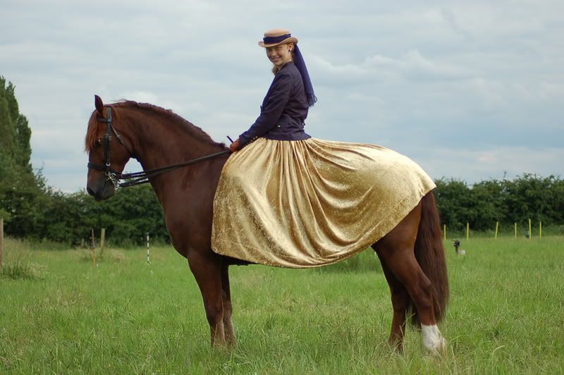 dress horse