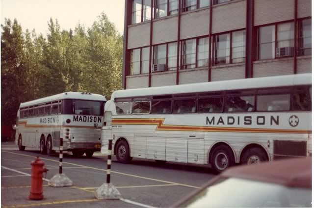 Madisonsbuses81.jpg