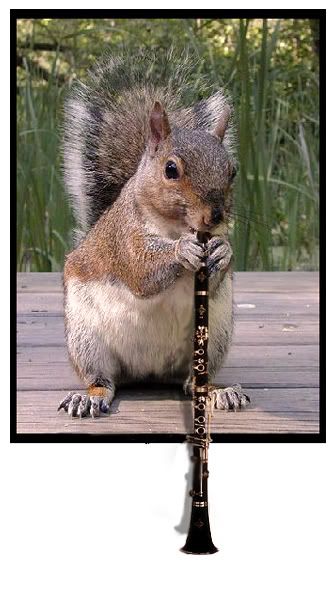 Squirrel_Playing_the_Clarinet_by_de.jpg