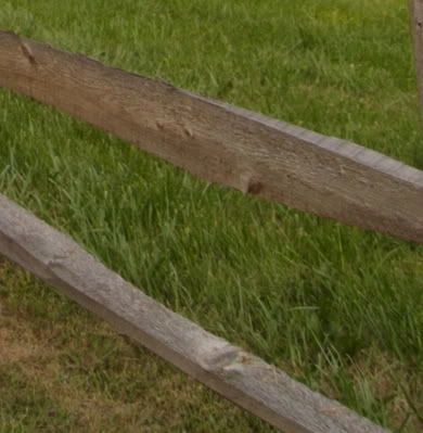 IMAGE: http://img.photobucket.com/albums/v241/punkmuzikboy/IMG_1017crop.jpg