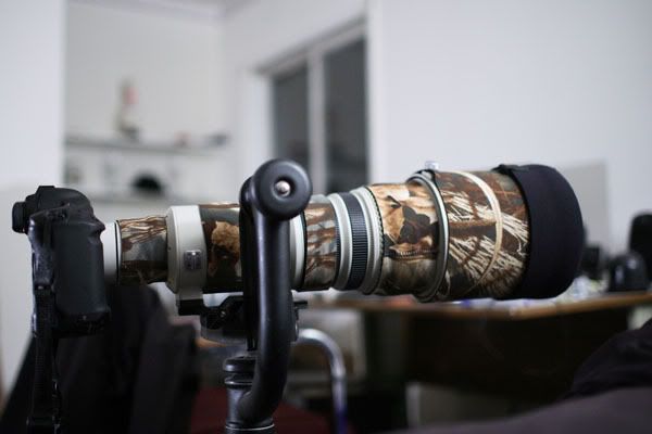 IMAGE: http://img.photobucket.com/albums/v241/punkmuzikboy/IMG_8388small.jpg