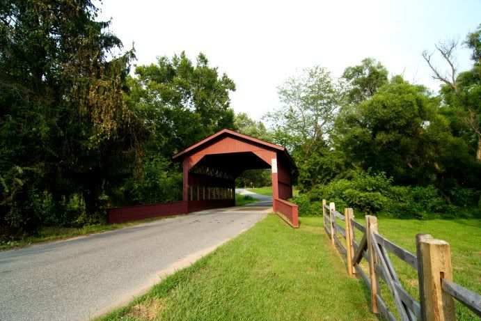 IMAGE: http://img.photobucket.com/albums/v241/punkmuzikboy/Img_1019small.jpg