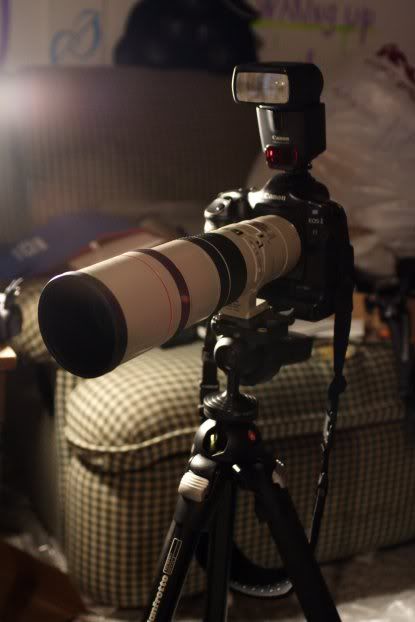 IMAGE: http://img.photobucket.com/albums/v241/punkmuzikboy/Img_1900small.jpg