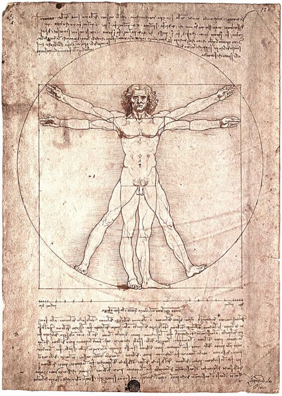 vitruvian man Pictures, Images and Photos