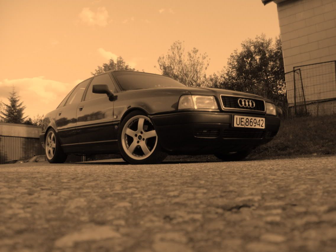 audi80039.jpg