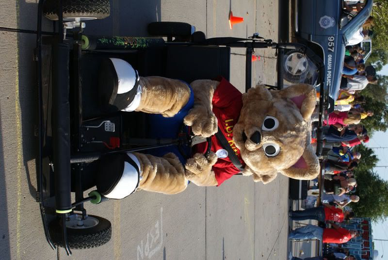 I.D. Kitty wears his seat belt for safety!
