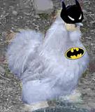batman chicken