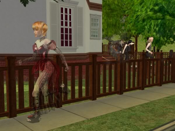 snapshot_58350cb1_b8d07ee9.jpg