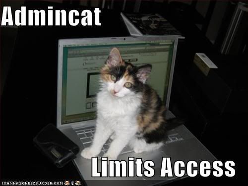 funny-pictures-cat-limits-your-comp.jpg