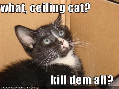 funny-pictures-ceiling-cat-tells-ki.jpg