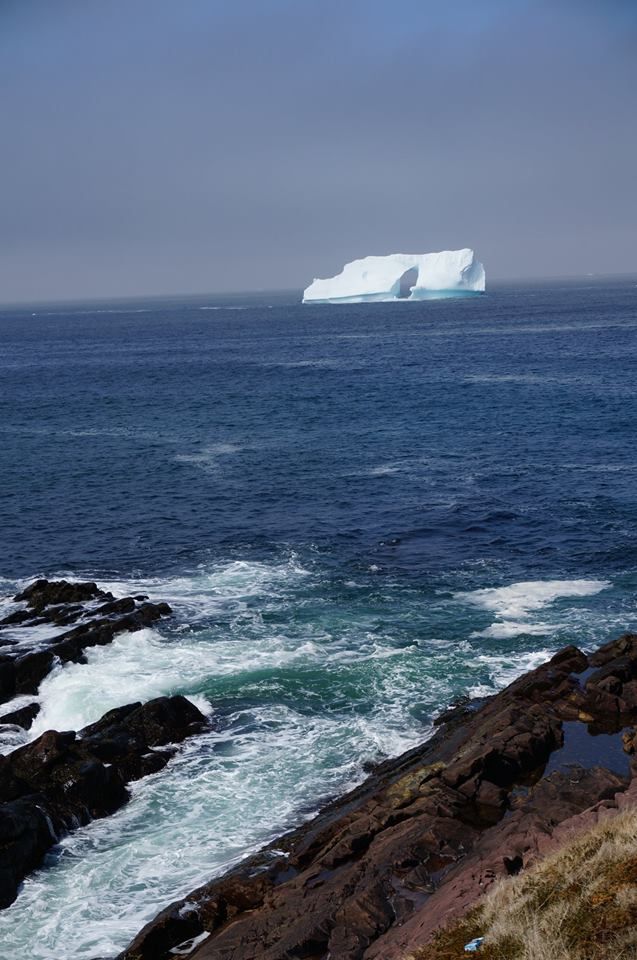 Iceberg Alley Cadillac Owners Forum