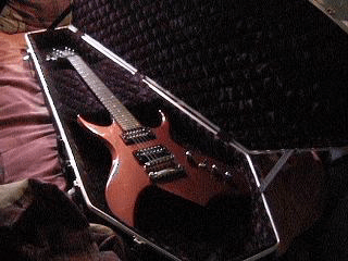 http://img.photobucket.com/albums/v243/GothicWeirdo/CoffinCaseOpen.png