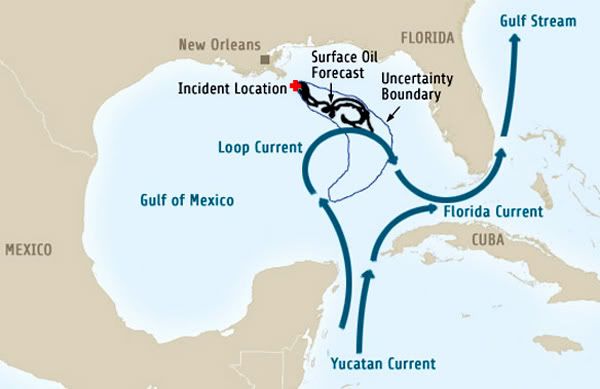 мексиканский залив, катастрофа, разлив нефти