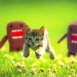 Run! Run! Run! I'm gonna get you