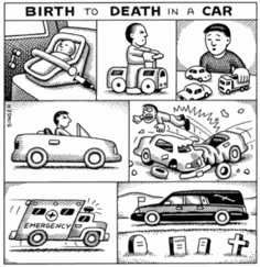 Birth Life Death