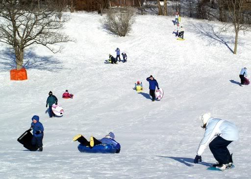sledding down a hill Pictures, Images and Photos