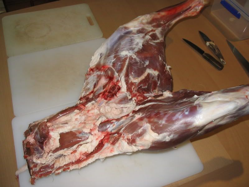 ribtobumgoodtogo.jpg