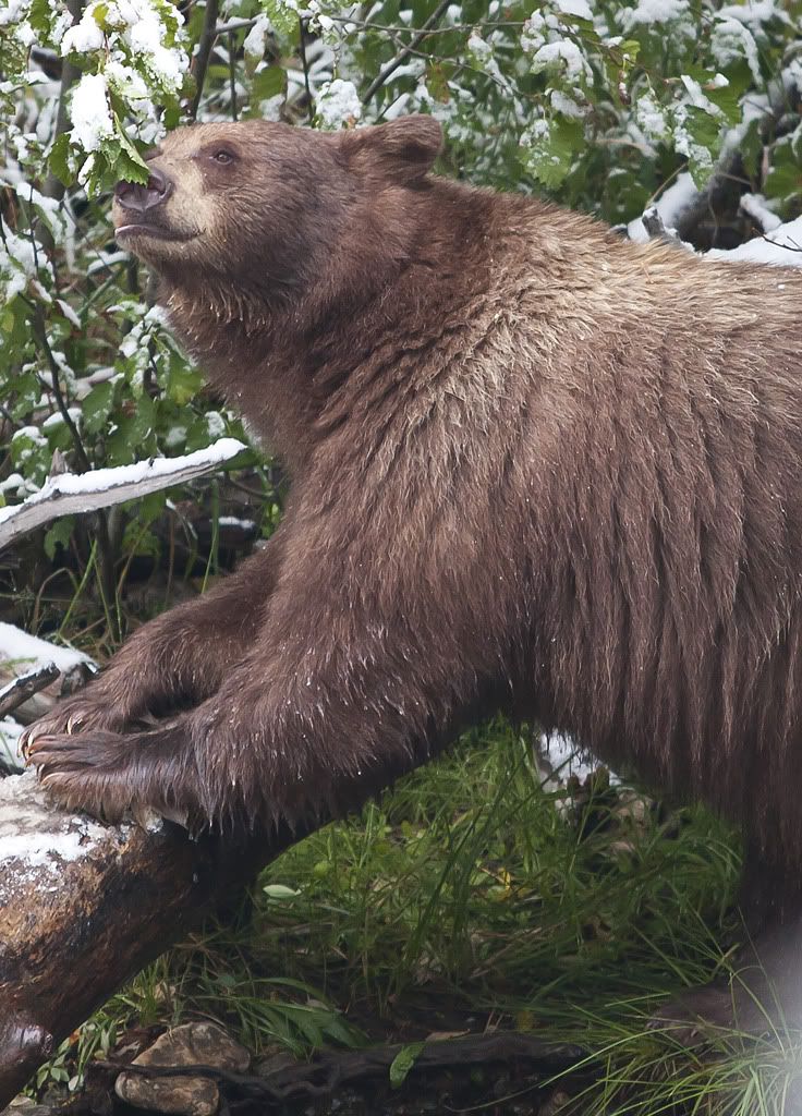 IMAGE: http://img.photobucket.com/albums/v243/mrmerick/IMG_2050resize.jpg