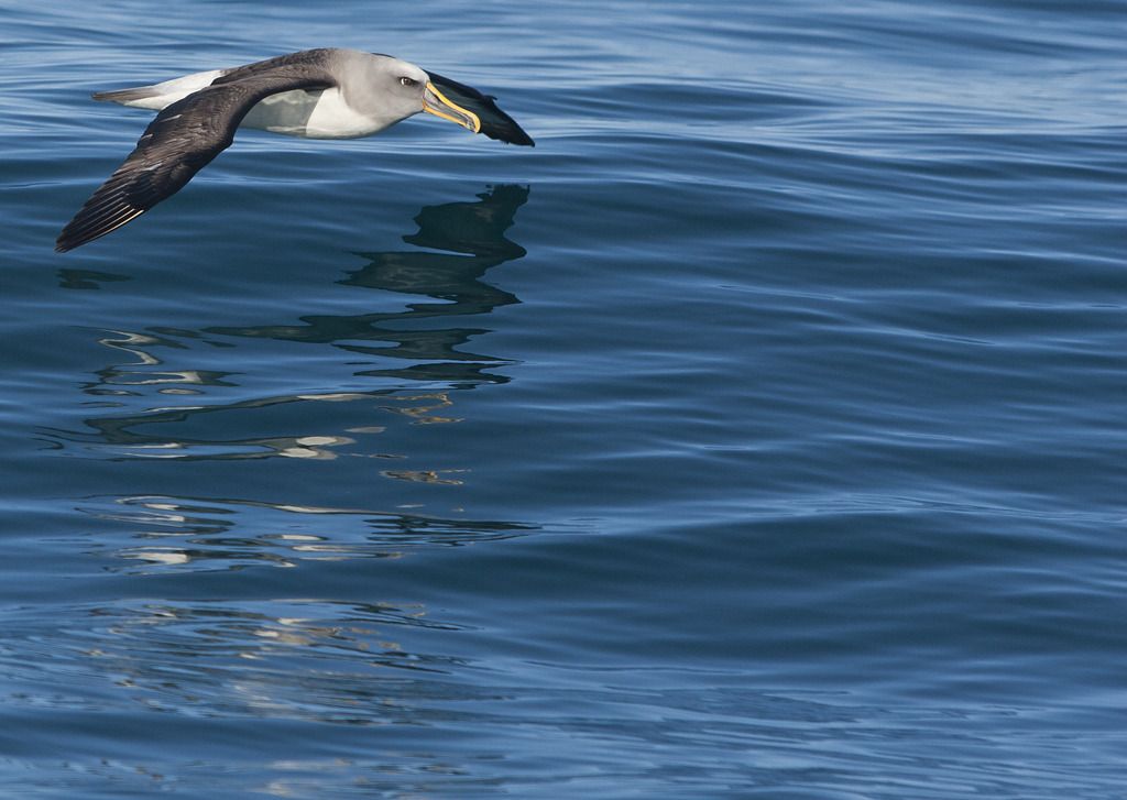 IMAGE: http://img.photobucket.com/albums/v243/mrmerick/IMG_5991resize.jpg