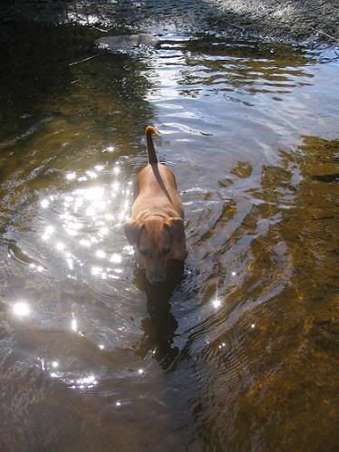 Misha i badet