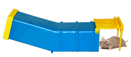 mouse-trap-2.gif