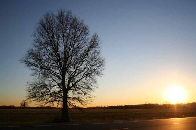 IMAGE: http://img.photobucket.com/albums/v244/ChrisACR/Skyshots/Picture043.jpg