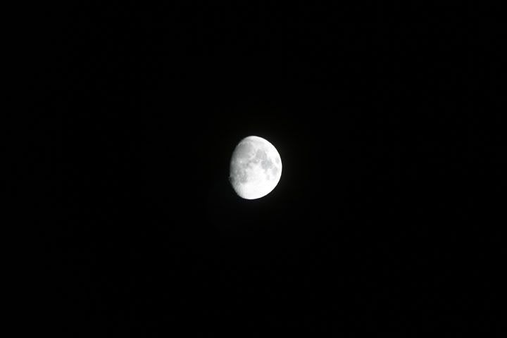 IMAGE: http://img.photobucket.com/albums/v244/ChrisACR/Skyshots/brightmoon.jpg