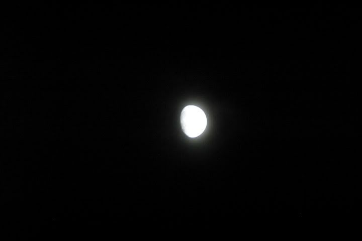 IMAGE: http://img.photobucket.com/albums/v244/ChrisACR/Skyshots/moonuncorrect.jpg