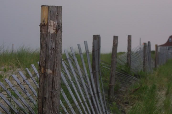 IMAGE: http://img.photobucket.com/albums/v244/ChrisACR/Skyshots/wildwood5.jpg