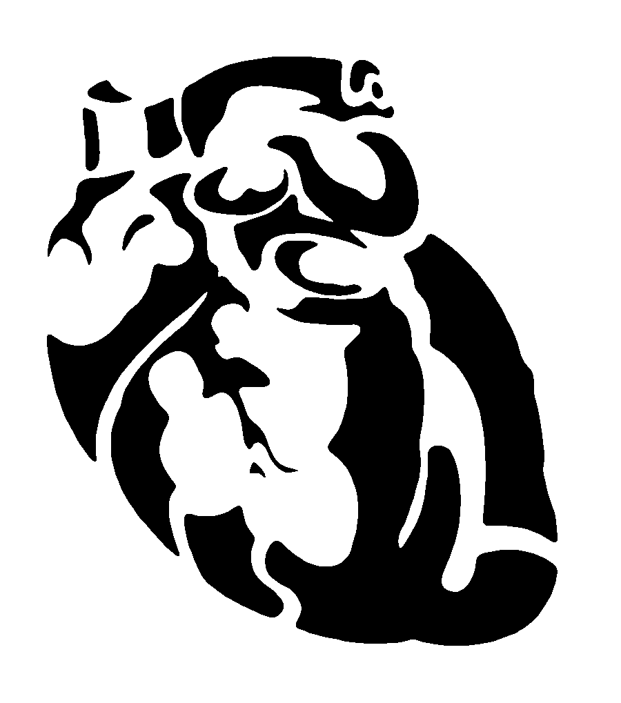 Anatomical Heart Pumpkin Stencil New Concept