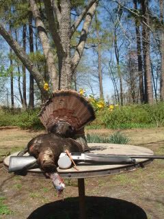 turkeys2010007.jpg