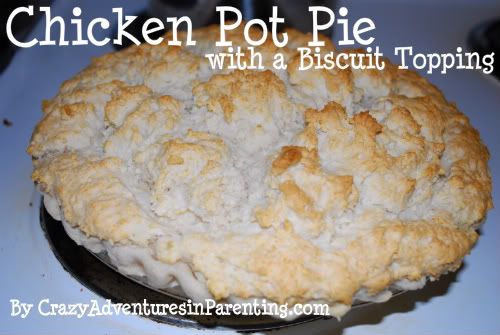 What kind of biscuits should you use for the crust of chicken pot pie?