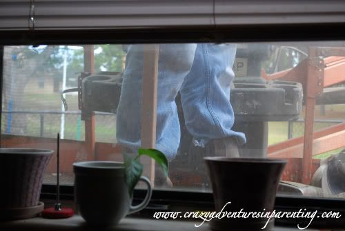 feet out the window