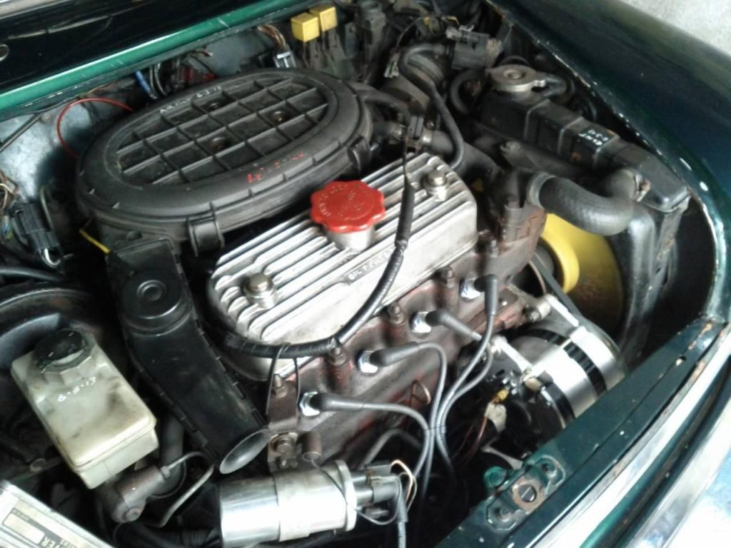 1268910_10151600227370064_443424314_o.jp