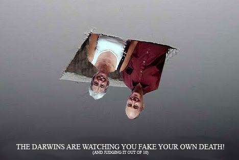 ceiling_darwins.jpg