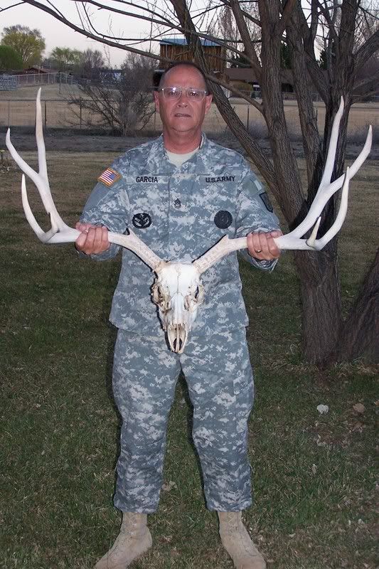 DEERHORNS003.jpg