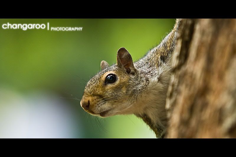 IMAGE: http://img.photobucket.com/albums/v244/erykv1/100/94365.jpg