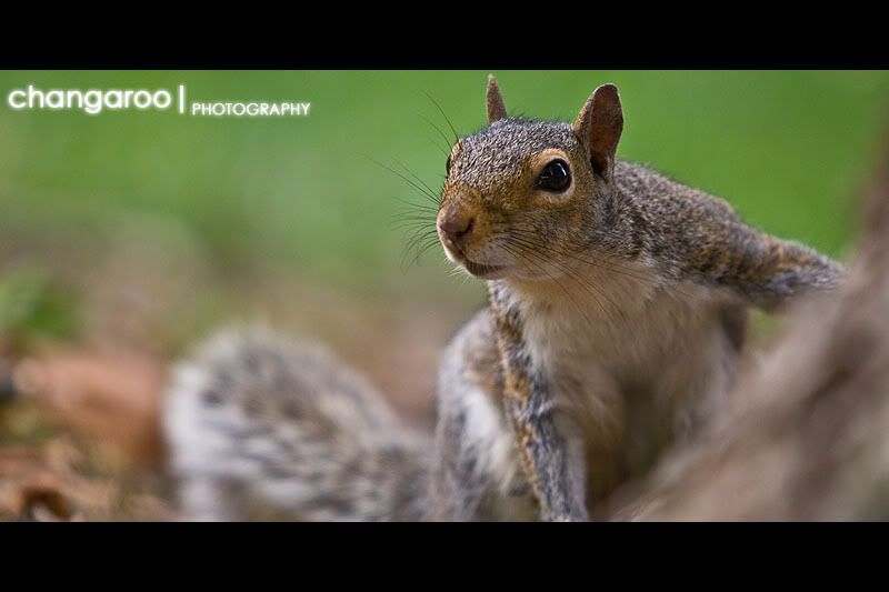 IMAGE: http://img.photobucket.com/albums/v244/erykv1/100/94365a.jpg