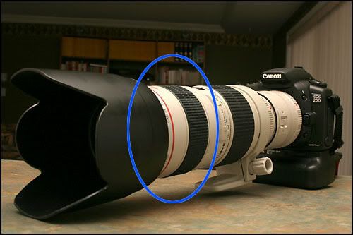 IMAGE: http://img.photobucket.com/albums/v244/erykv1/IA/canon20d-1.jpg