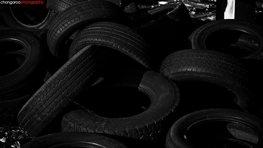 IMAGE: http://img.photobucket.com/albums/v244/erykv1/IMG_0620.jpg