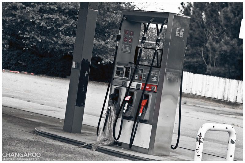 IMAGE: http://img.photobucket.com/albums/v244/erykv1/IMG_5328.jpg