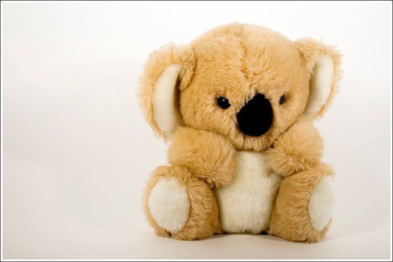 IMAGE: http://img.photobucket.com/albums/v244/erykv1/kickassbear.jpg