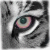 Image hosted by Photobucket.com