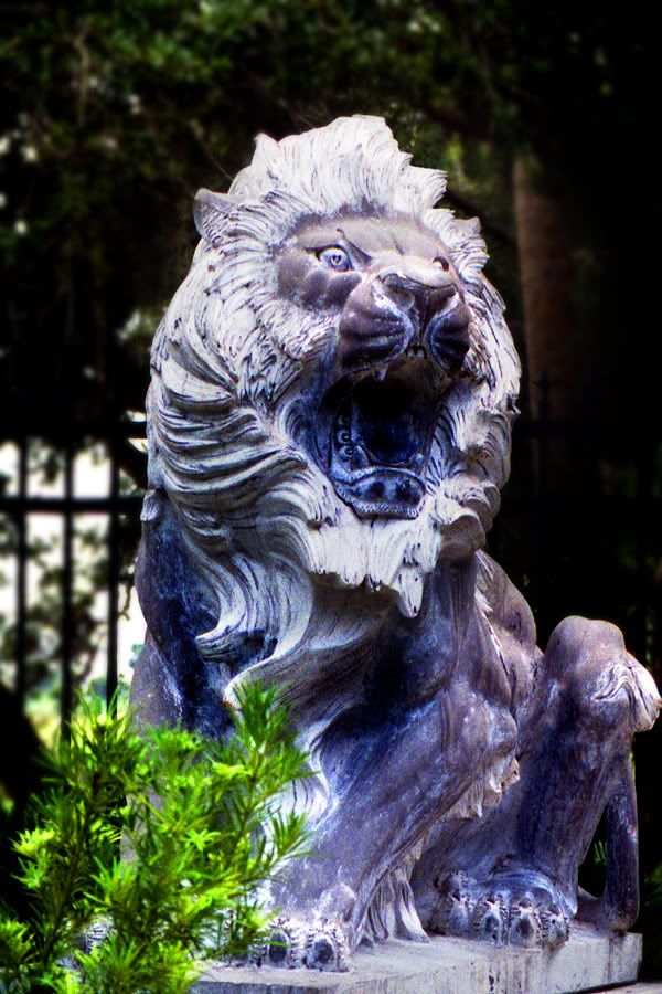 STONE LION