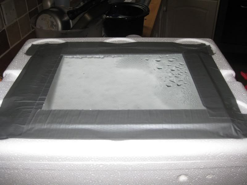 How to Make a Low Budget Incubator
