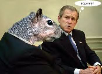 squirrelbush.jpg