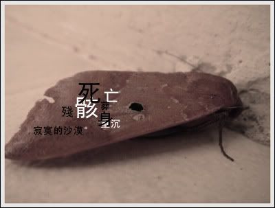 Image hosted by Photobucket.com